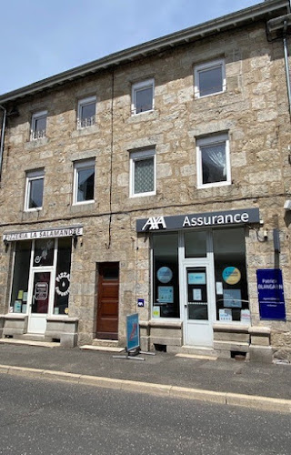 Agence d'assurance AXA Assurance et Banque Patrick Blangarin Tence