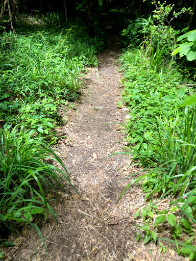 Nature Preserve «MaryAnn Brown Nature Preserve», reviews and photos, 13515 LA-965, St Francisville, LA 70775, USA