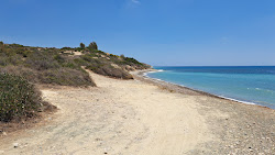 Photo de Ranti Forest Beach avec un rivage spacieux