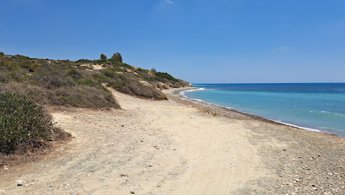 Ranti Forest Beach photo #2