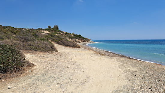Ranti Forest Beach