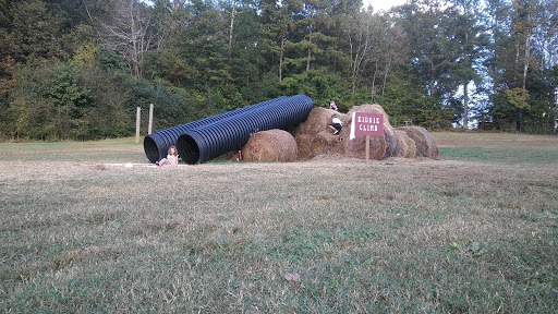 Tourist Attraction «Still Family Farm, LLC», reviews and photos, 5630 Macland Rd, Powder Springs, GA 30127, USA