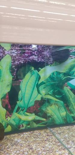 Pet Supply Store «Petco Animal Supplies», reviews and photos, 12801 Chenal Pkwy, Little Rock, AR 72211, USA