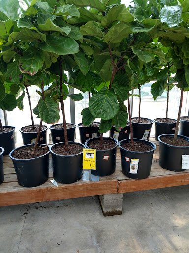 Home Improvement Store «The Home Depot», reviews and photos, 800 Truse Rd, Memphis, TN 38117, USA