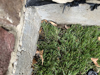 The Plant Concierge - Dallas Landscape Design and Installation Experts - Photo 9 - Car repair in Dallas, TX, Dallas