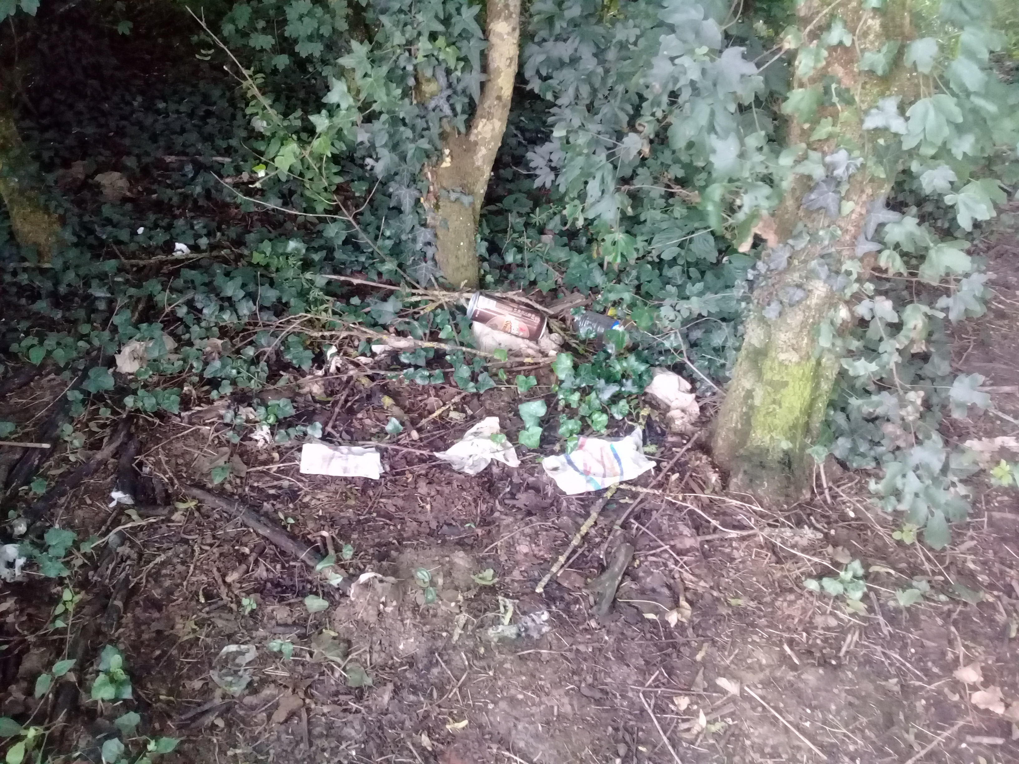 Photo n° 2 de l'avis de Nadia.i fait le 08/06/2018 à 23:34