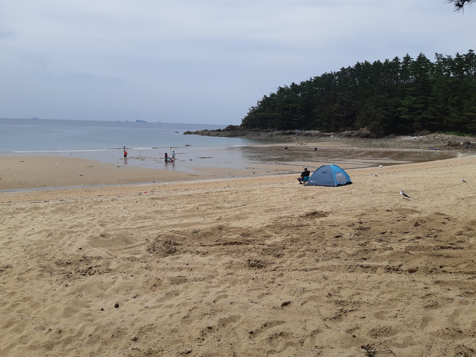 Fotografie cu Kujinamugol Beach cu nivelul de curățenie înalt