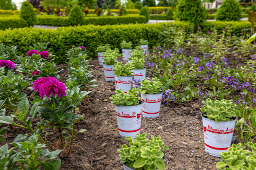 Plant Nursery «Blooming Acres», reviews and photos, 7561 State Rd, Wadsworth, OH 44281, USA