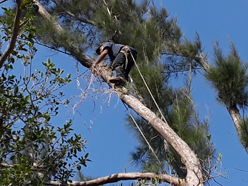 Golf Club «Miami Springs Golf & Country Club», reviews and photos, 650 Curtiss Pkwy, Miami Springs, FL 33166, USA