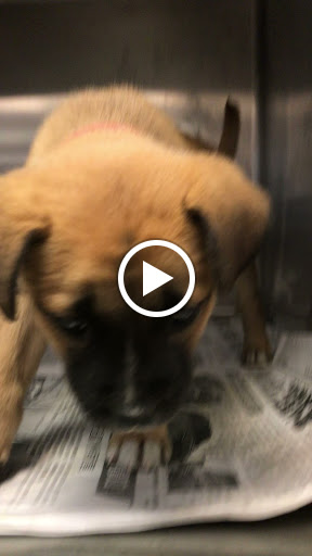 Grocery Store «North Shore Farms», reviews and photos, 770 Port Washington Blvd, Port Washington, NY 11050, USA