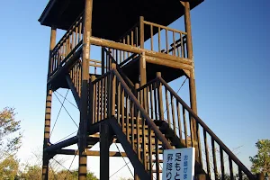 Maruyama Observation Deck image