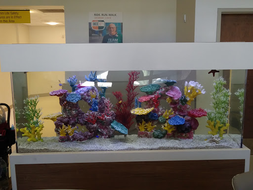 Tropical Fish Store «Top Hat Aquarium», reviews and photos, 18710 SW 107th Ave, Cutler Bay, FL 33157, USA