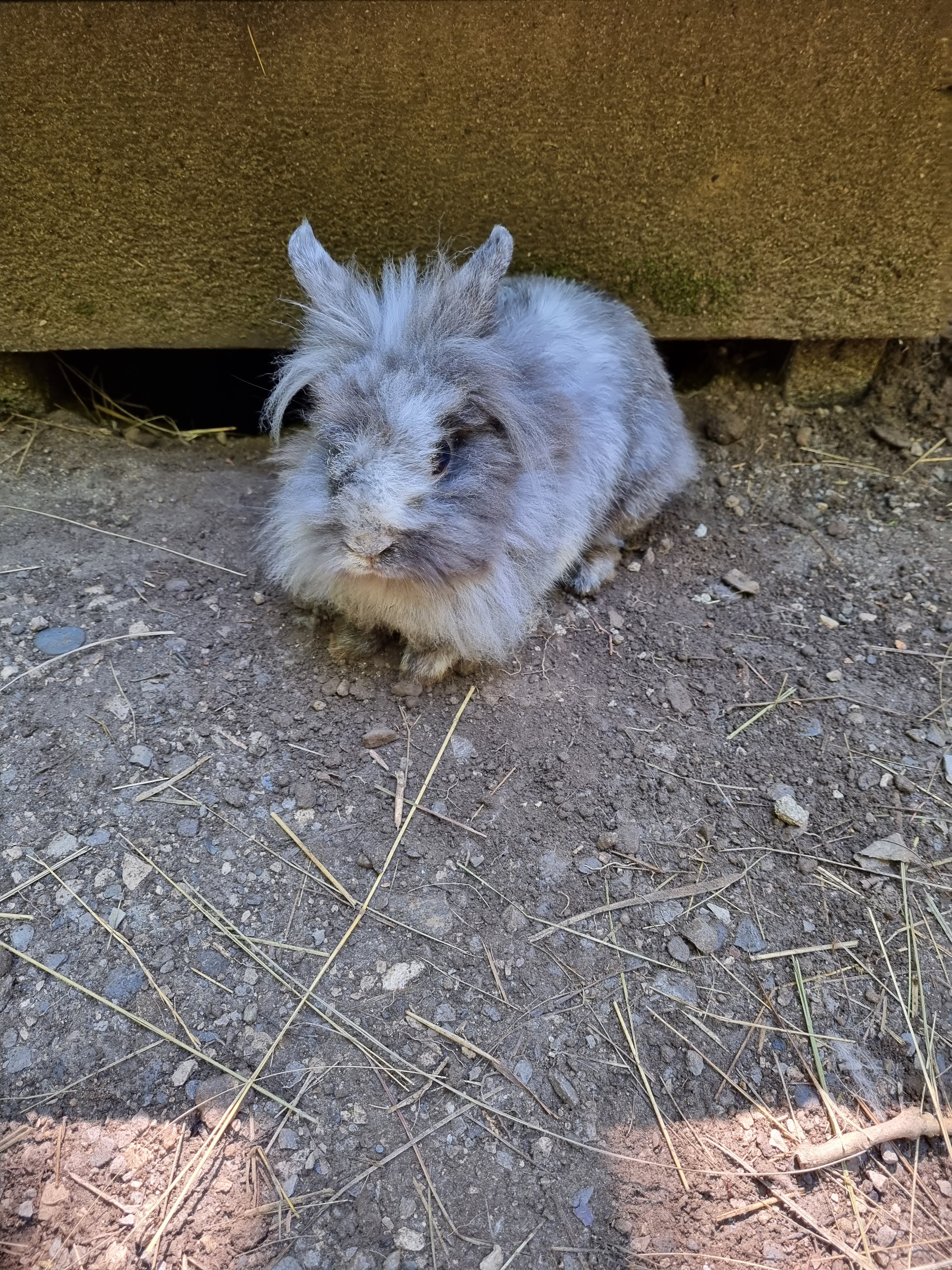 Photo n° 11 de l'avis de Laetitia.a fait le 27/08/2022 à 15:00