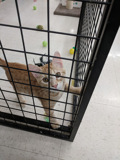 Pet Supply Store «Pet Supplies Plus», reviews and photos, 15034 San Pedro Ave Suite A, San Antonio, TX 78232, USA