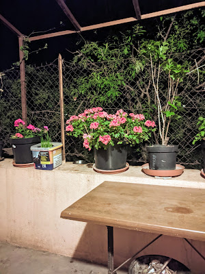 Hôtel des Corbières à Fitou
