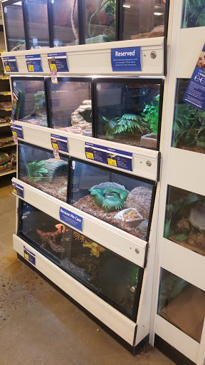 Pet Supply Store «PetSmart», reviews and photos, 525 Connecticut Ave, Norwalk, CT 06854, USA