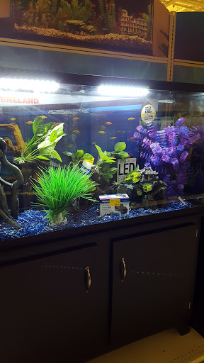 Pet Supply Store «PetSmart», reviews and photos, 3865 NY-31, Liverpool, NY 13090, USA