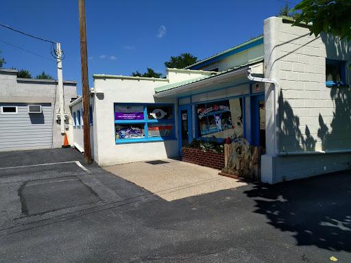 Pet Store «Abrams and Weakley General Store for Animals», reviews and photos, 3963 N 6th St, Harrisburg, PA 17110, USA