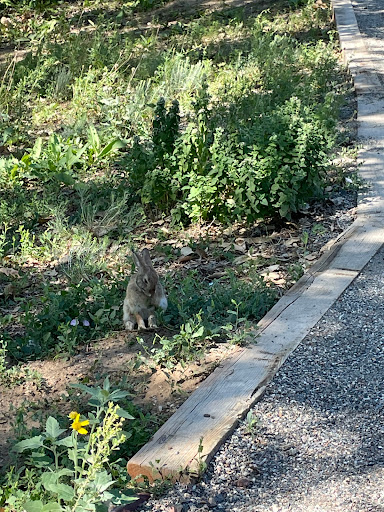 Animal Protection Organization «Butterfly Pavilion», reviews and photos, 6252 W 104th Ave, Westminster, CO 80020, USA