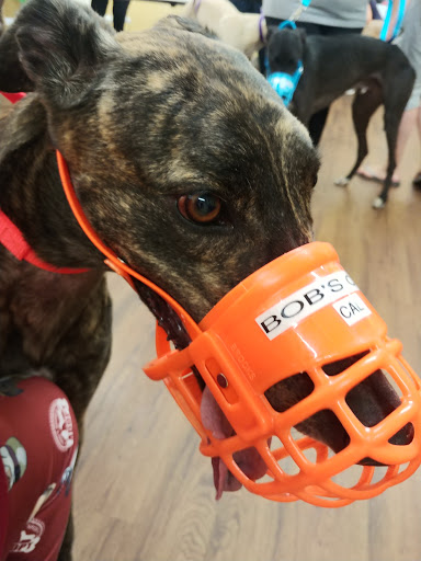 Pet Supply Store «PetPeople», reviews and photos, 3330 Washtenaw Ave, Ann Arbor, MI 48104, USA