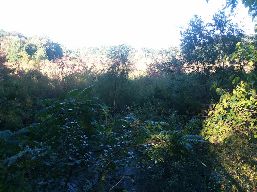 Nature Preserve «Mud Lake Bog Nature Preserve», reviews and photos, 905 E Elm Valley Rd, Buchanan, MI 49107, USA