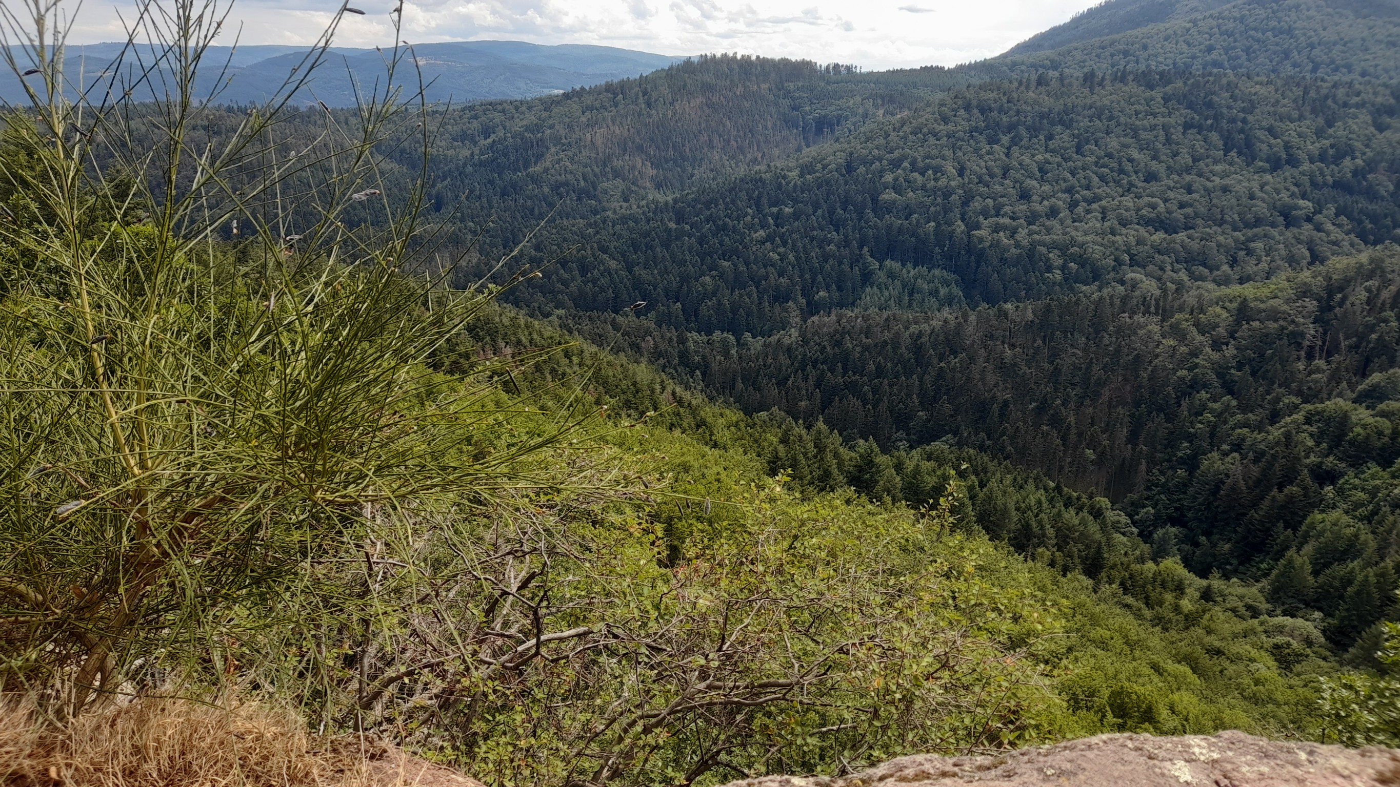 Photo n° 26 de l'avis de Kris.c fait le 20/07/2022 à 13:28