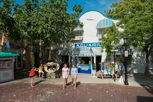 Key West Aquarium image