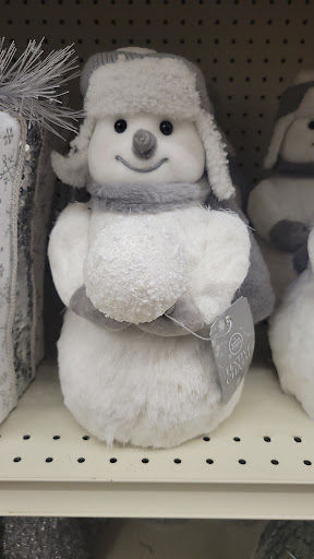 Discount Store «Big Lots», reviews and photos, 308 FL-312, St Augustine, FL 32086, USA