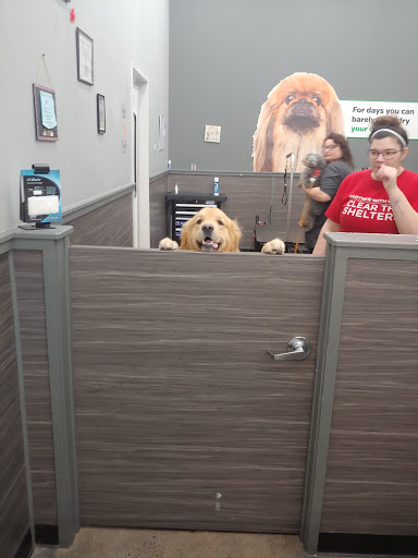 Pet Supply Store «Pet Supplies Plus», reviews and photos, 107 Erie Blvd W, Rome, NY 13440, USA