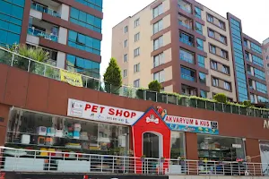 Ralf Petshop image