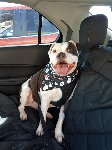 Pet Supply Store «Petco Animal Supplies», reviews and photos, 4915 E 41st St C, Tulsa, OK 74135, USA