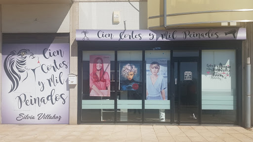 CIEN CORTES Y MIL PEINADOS en Burgos, Burgos