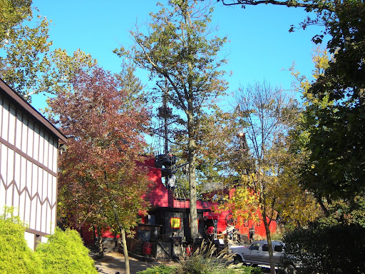 Festival «Pennsylvania Renaissance Faire», reviews and photos, 2775 Lebanon Rd, Manheim, PA 17545, USA
