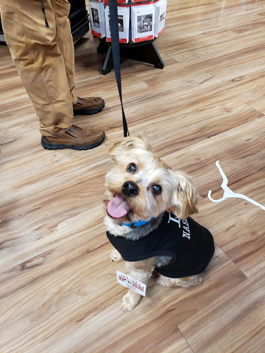 Pet Supply Store «EarthWise Pet Nashville-SoBro», reviews and photos, 66 Hermitage Ave, Nashville, TN 37210, USA