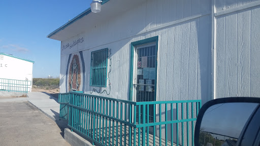 Project Vida- La Clinica Guadalupana