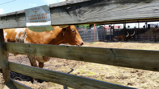 Museum «Stockyards Museum», reviews and photos, 131 E Exchange Ave # 113, Fort Worth, TX 76164, USA