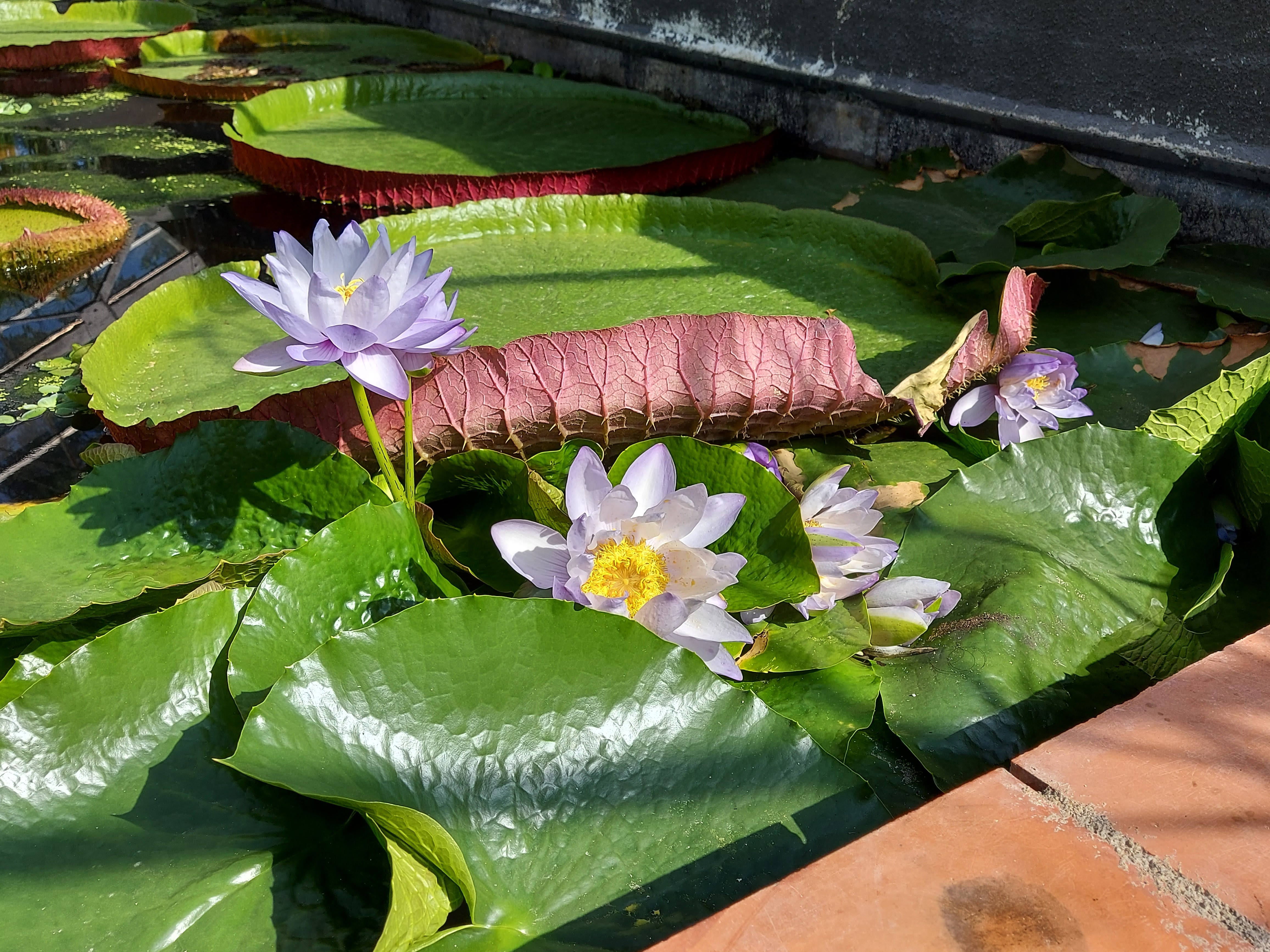 Photo n° 23 de l'avis de Brigitte.o fait le 02/09/2021 à 08:01