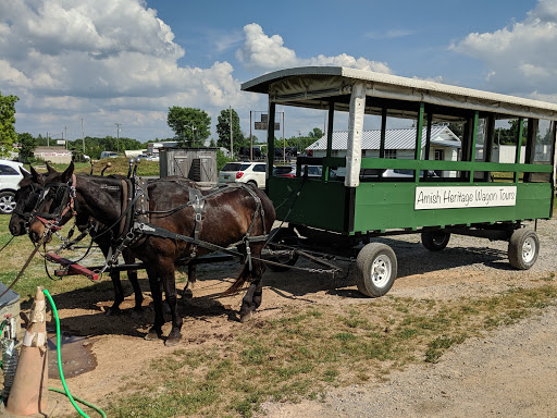Tourist Attraction «Amish Heritage Farm», reviews and photos, 1016 Brewer Rd, Ethridge, TN 38456, USA
