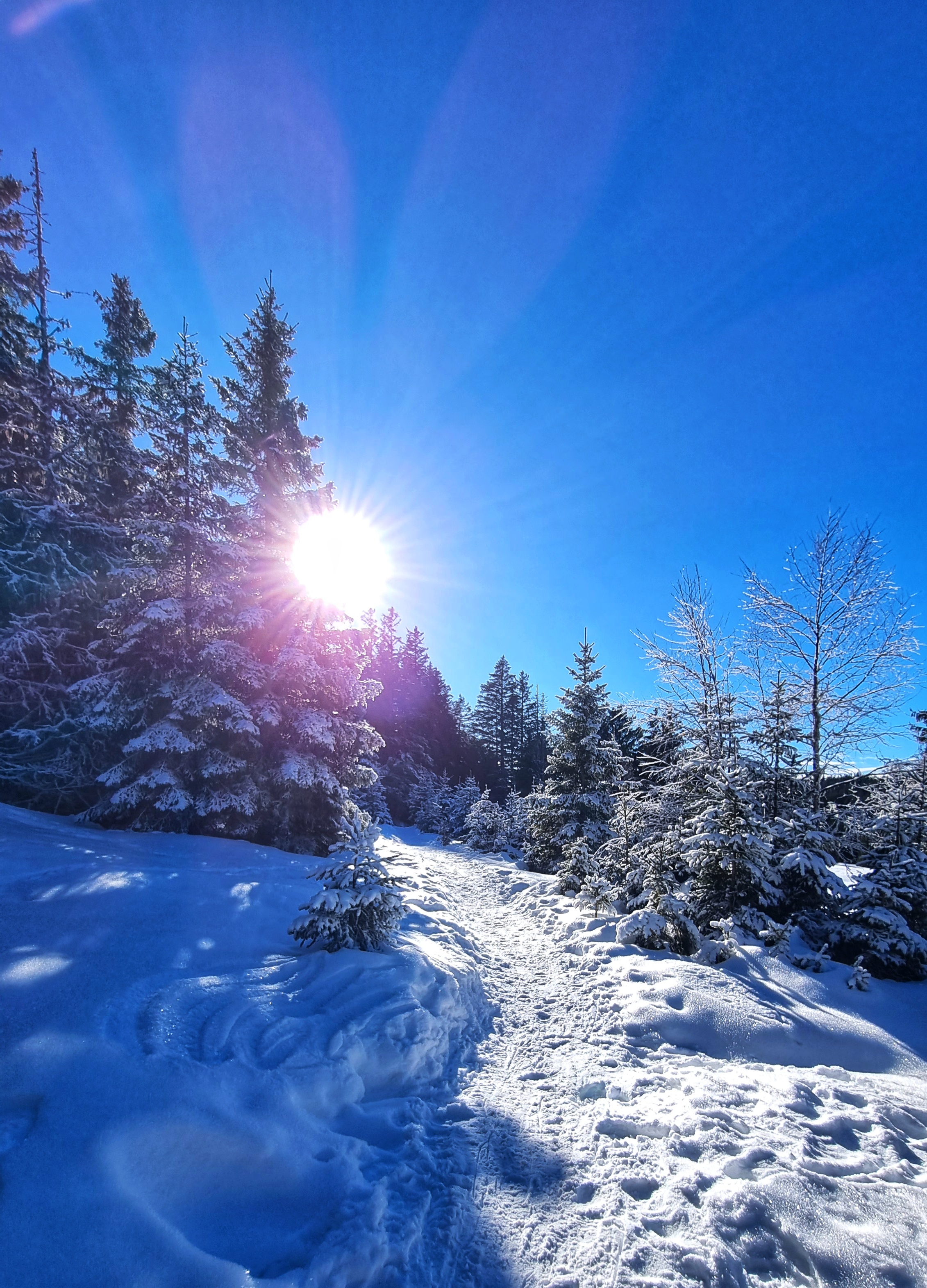 Photo n° 1 de l'avis de A. fait le 27/01/2024 à 15:45
