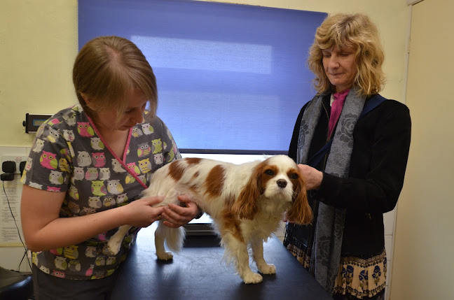 Reviews of Orchard Veterinary Centre in Birmingham - Veterinarian