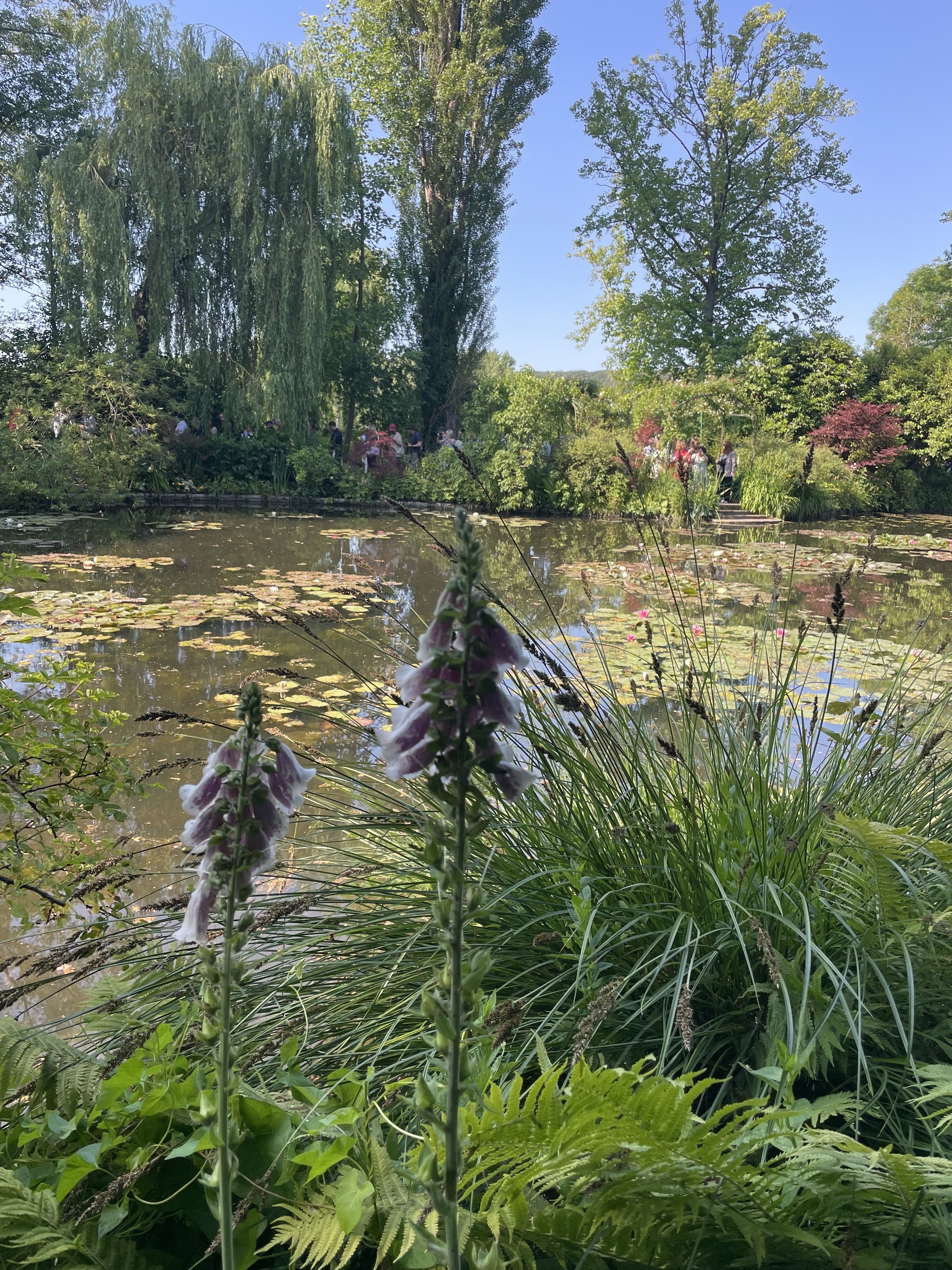 Photo n° 13 de l'avis de Nini.e fait le 07/06/2023 à 05:00