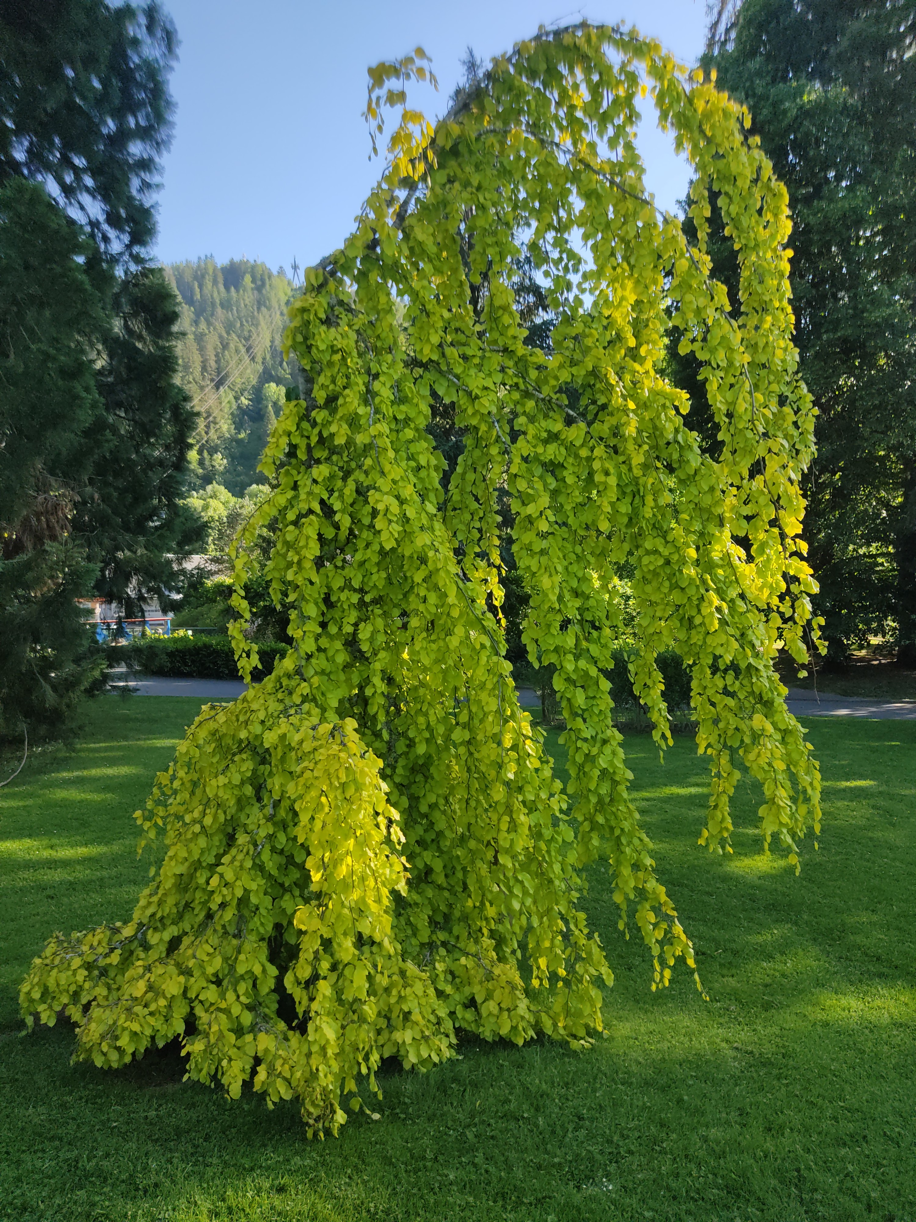 Photo n° 4 de l'avis de David.i fait le 29/05/2022 à 19:15