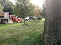 Heeter Enterprises Tree Service and Landscaping - Photo 5 - Car repair in , Akron