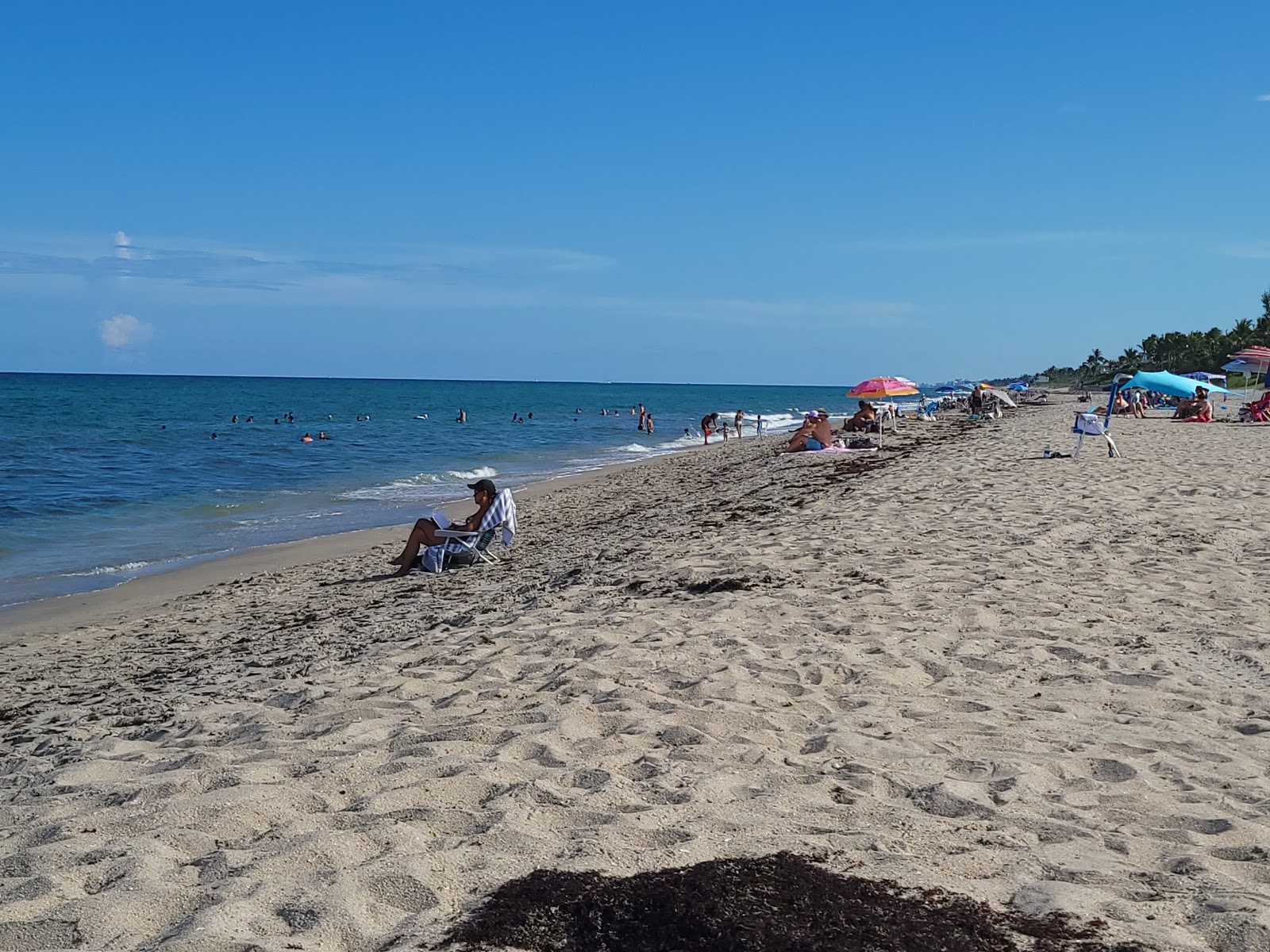 Foto di Ocean Ridge Hammock Park con una superficie del sabbia luminosa