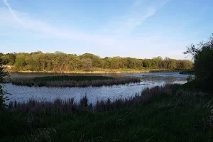 Grove Lake Wildlife Management Area image