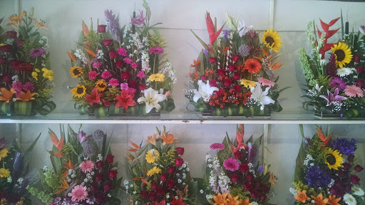 Florería Xochimilco Acuña – Ciudad Acuña