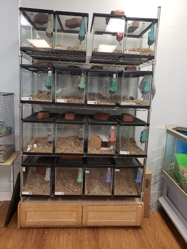 Pet Store «Claremont Pet & Aquarium Center», reviews and photos, 201 Washington St, Claremont, NH 03743, USA