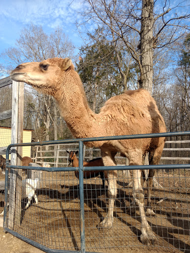 Darby Acres Farm