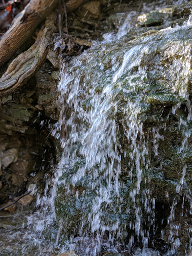 Art Museum «The Frick», reviews and photos, 7227 Reynolds St, Pittsburgh, PA 15208, USA