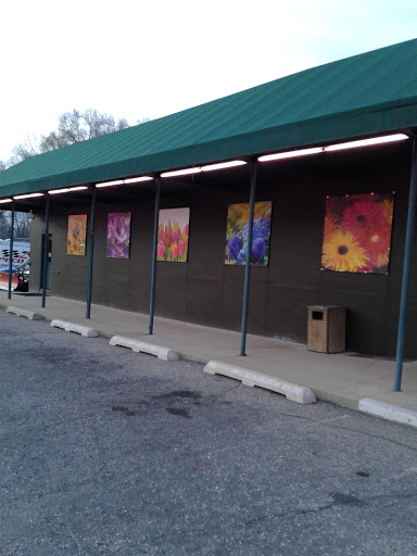 Absolutely Flowers, 8686 State St, Sandy, UT 84070, USA, 